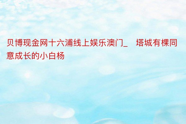 贝博现金网十六浦线上娱乐澳门_​塔城有棵同意成长的小白杨