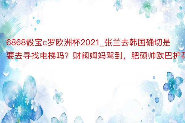 6868骰宝c罗欧洲杯2021_张兰去韩国确切是要去寻找电梯吗？财阀姆妈驾到，肥硕帅欧巴护花