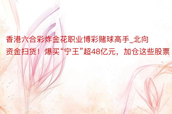 香港六合彩炸金花职业博彩赌球高手_北向资金扫货！爆买“宁王”超48亿元，加仓这些股票