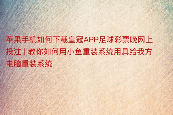 苹果手机如何下载皇冠APP足球彩票晚网上投注 | 教你如何用小鱼重装系统用具给我方电脑重装系统