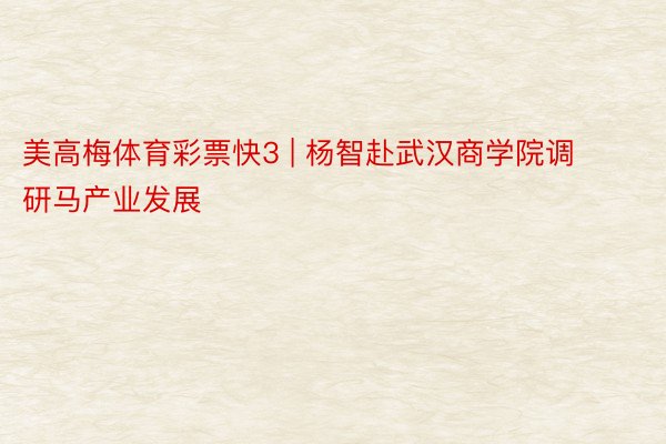 美高梅体育彩票快3 | 杨智赴武汉商学院调研马产业发展